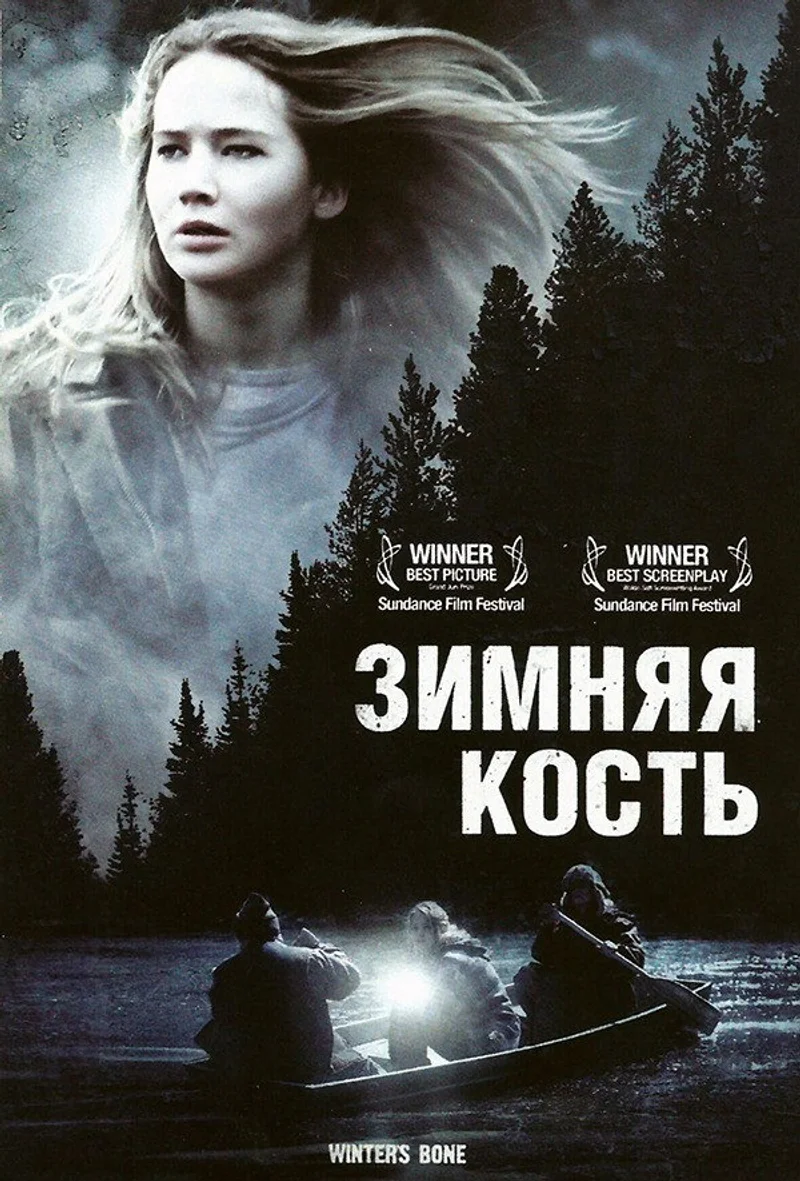 Зимняя кость